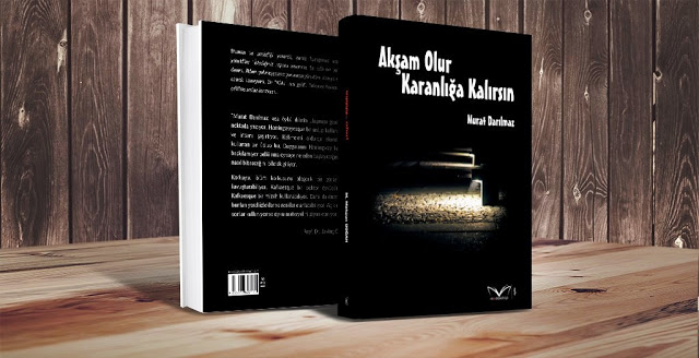dd808-muro