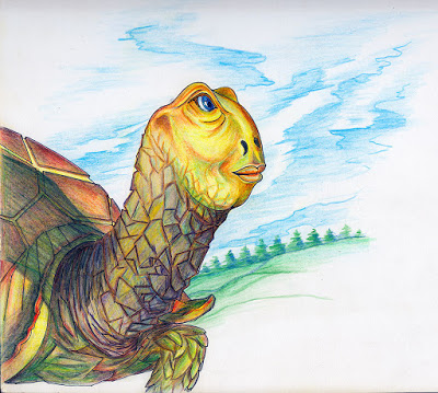 3da94-story-adventures-of-a-magic-turtle-4