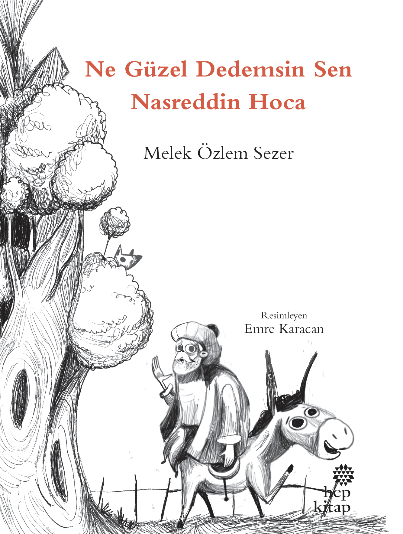 ne güzel dedemsin sen nasreddin hoca_kapak