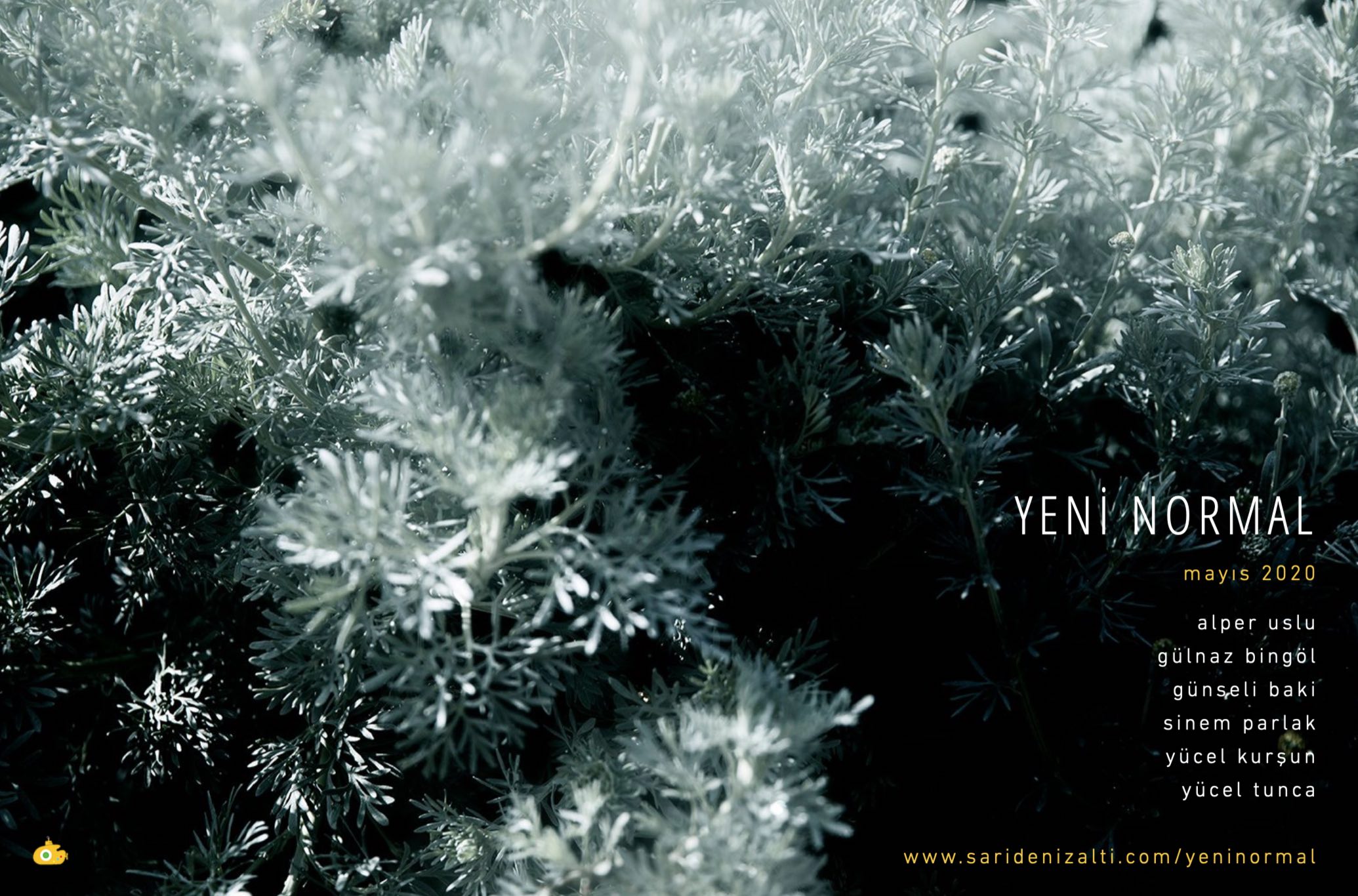 yeninormalsergi